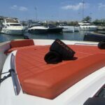 pardo-50-augusti-ficha-2-800x800-1